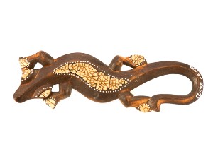 Geckos 30Cm